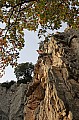 GRIMPE_2008_11_09_17_16_02.jpg GRIMPE_2008_11_09_17_16_02.jpg